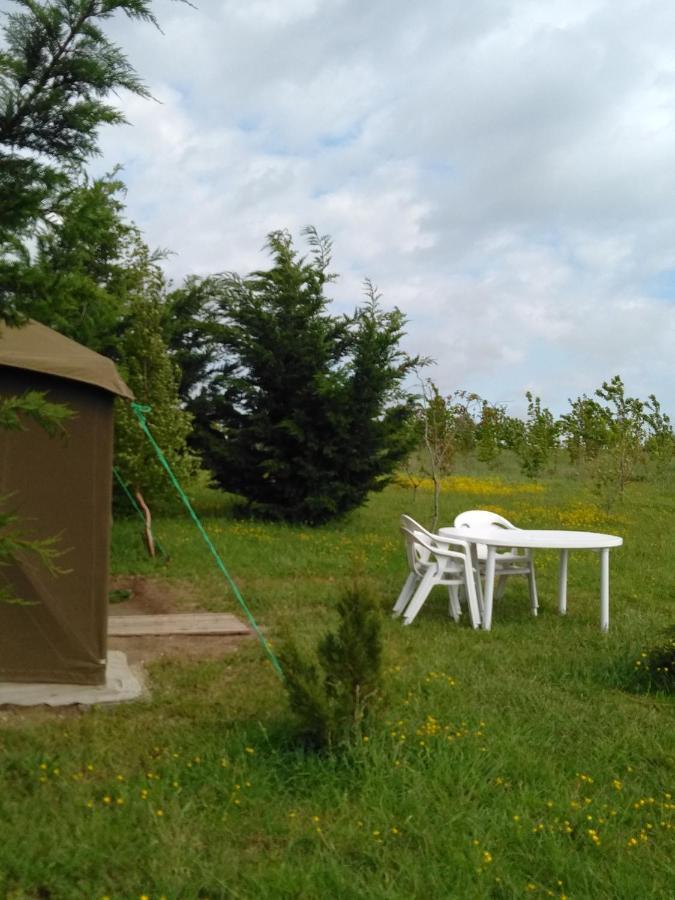 Luxury tent La Tente Du Commandant Francais 1954 Pour Nuit Insolite Arrest