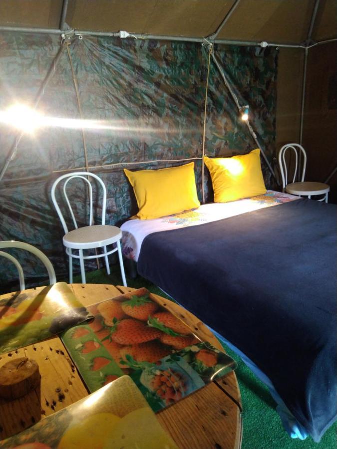 Luxury tent La Tente Du Commandant Francais 1954 Pour Nuit Insolite Arrest
